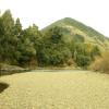 Wairata River